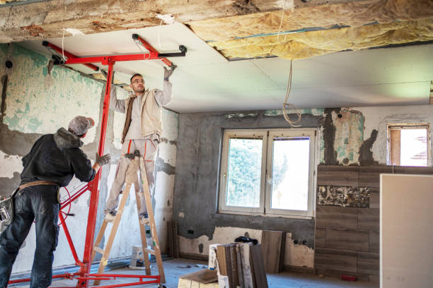 Best Energy Efficiency Insulation in Woodland, WA