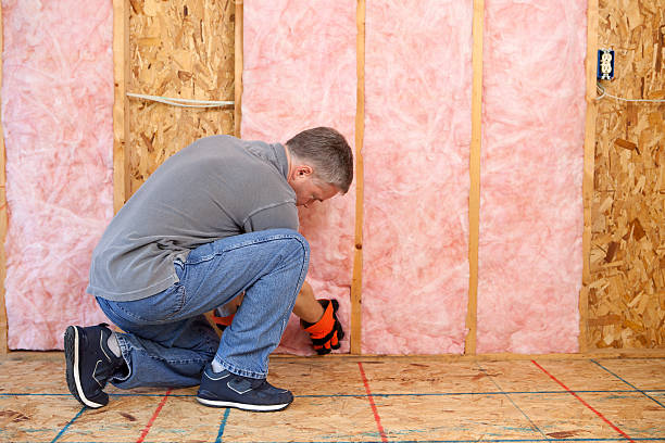 Best Eco-Friendly Insulation in Woodland, WA